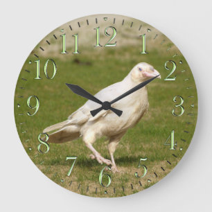 Seltenes Weiß (Geist) Rasen- und Graswall-Uhr Große Wanduhr
