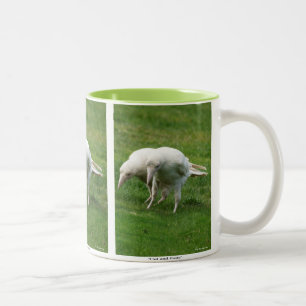 Seltenes Weißes Raben-Wildtier-Foto Zweifarbige Tasse