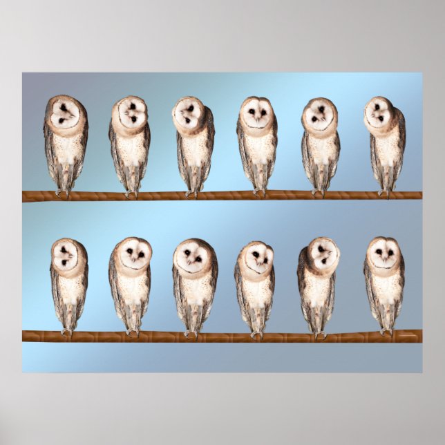 Seltsame Eule Poster (Vorne)