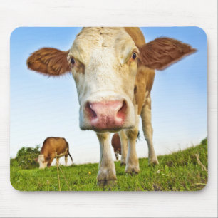 seltsame Kuh Mousepad