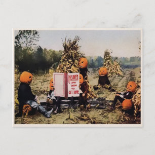 Seltsame Kürbis-Postkarte Postkarte