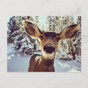 Seltsame Tat Postkarte