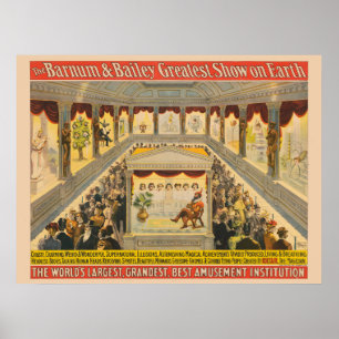 Seltsame und wunderschöne übernatürliche Illusione Poster