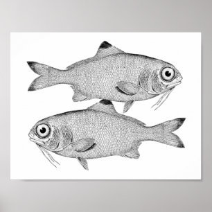 Seltsame Vintage Fische zeichnend Poster