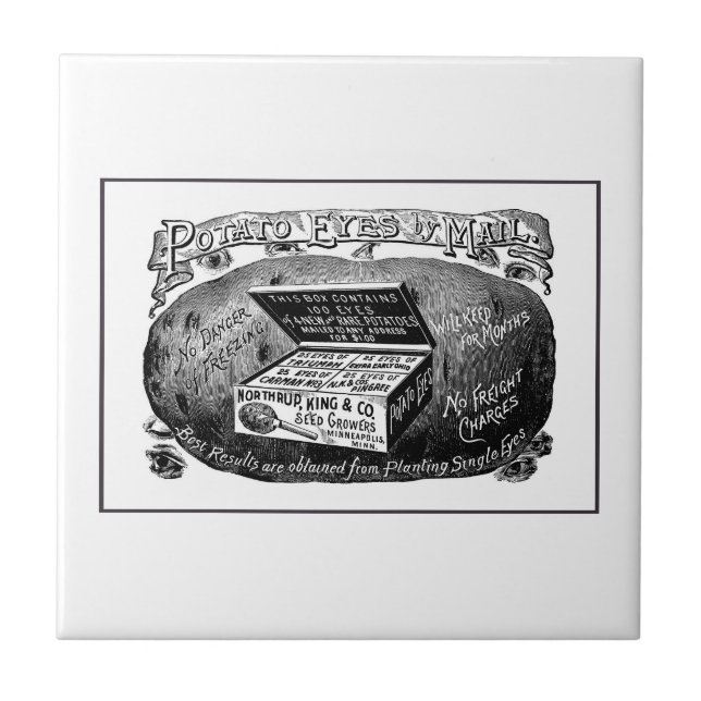 Seltsame Vintage Kartoffelwerbung Fliese (Vorderseite)