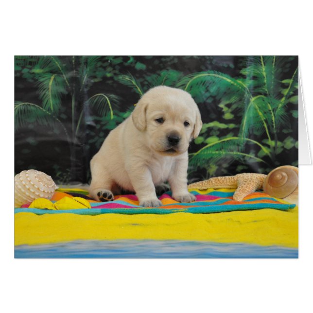 Semaine 2 de Leigh Ann (Devant horizontal)