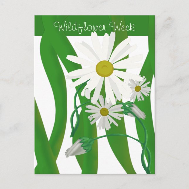 Semaine de la Fleur Sauvage Carte Postale Margueri (Devant)