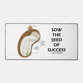 Semence De Succès Dicotyledon Graine De Haricots