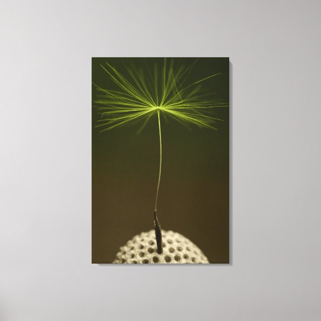 Semence d'un Dandelion photo sur toile (Recto)