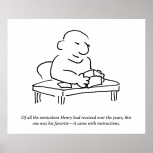 Semicolon Instructions Poster