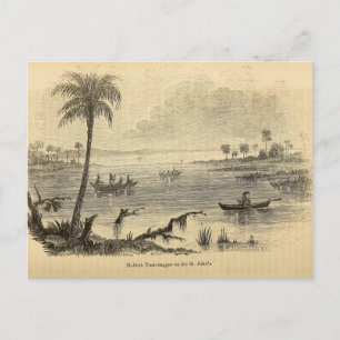 Seminolen am St. Johns River Postkarte