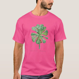 Sempervivum Canariense A K A A A A RiesenVelvet Ro T-Shirt