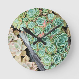 Sempervivum Runde Wanduhr