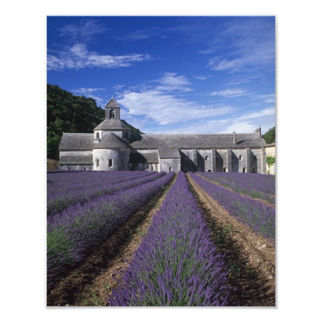 Senanque Abbey, Gordes, Vaucluse, Provence, Fotodruck (Vorne)