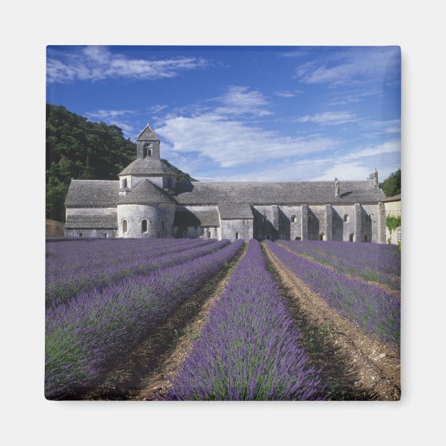 Senanque Abbey, Gordes, Vaucluse, Provence, Magnet (Vorne)