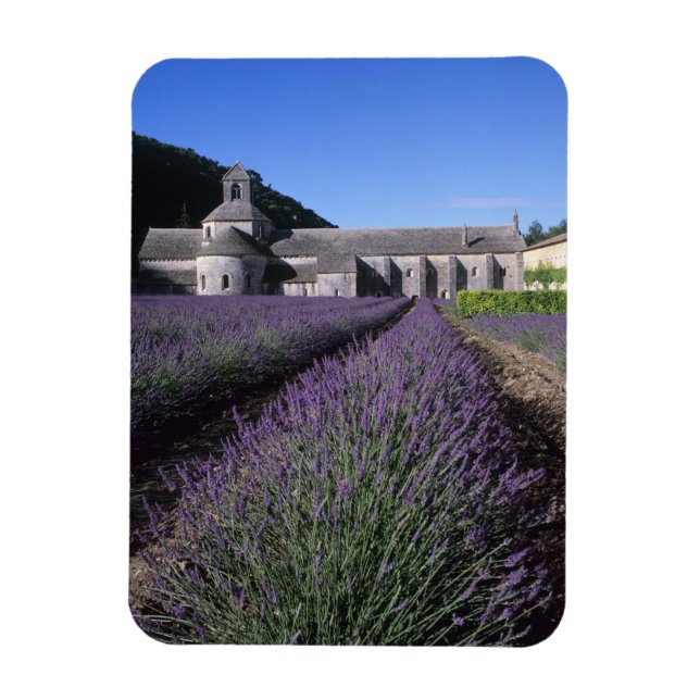 Senanque Abbey, Gordes, Vaucluse, Provence, Magnet (Vertikal)