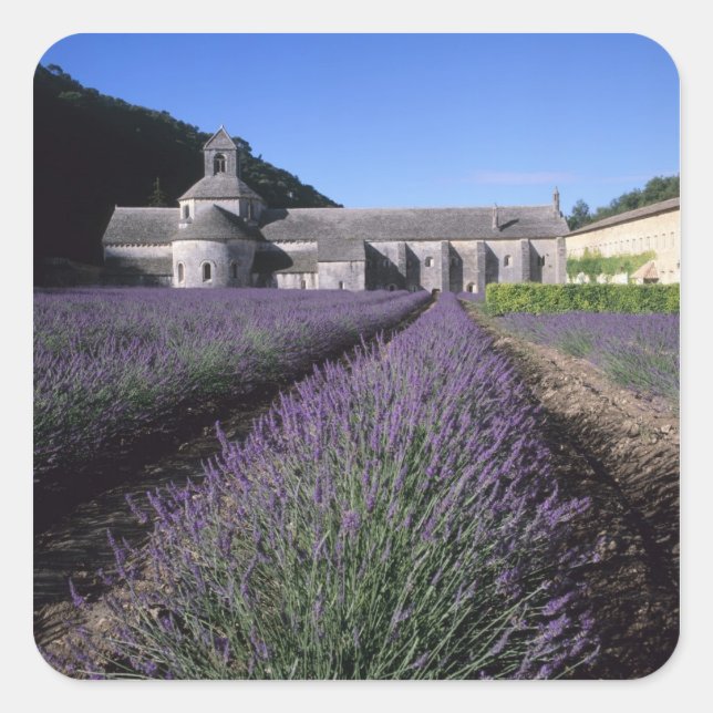 Senanque Abbey, Gordes, Vaucluse, Provence, Quadratischer Aufkleber (Vorderseite)