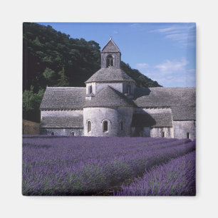 Senanque-Abtei, Gordes, Vaucluse, Provence, 2 Magnet