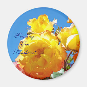 Sende Dir Sonnenschein! Magnet Gelbe Rosen Blauer
