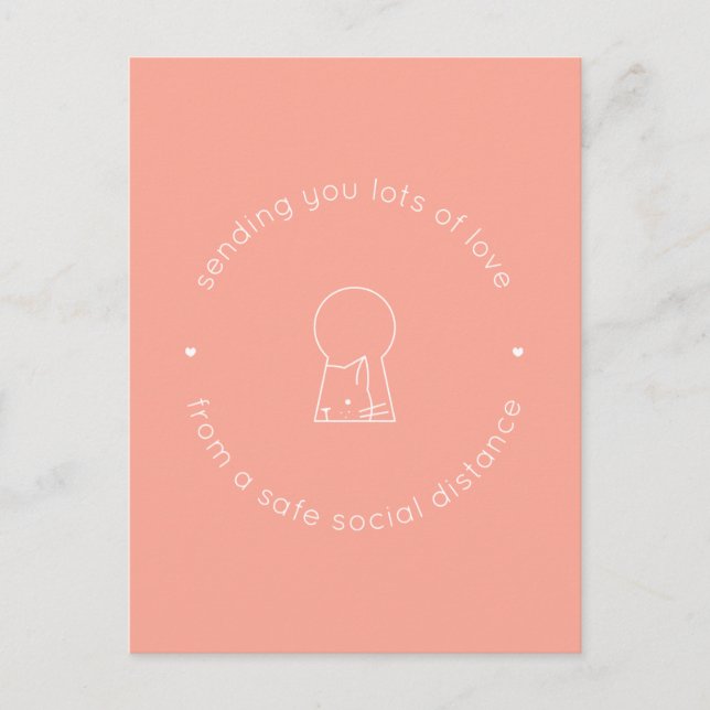 Senden der Liebe Social Distance Pink Niedlich Cat Postkarte (Vorderseite)