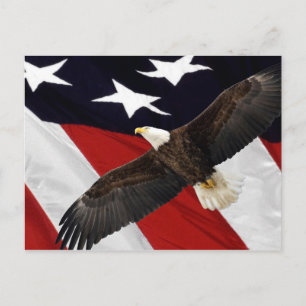 Senden einer Postkarte an den Kongress