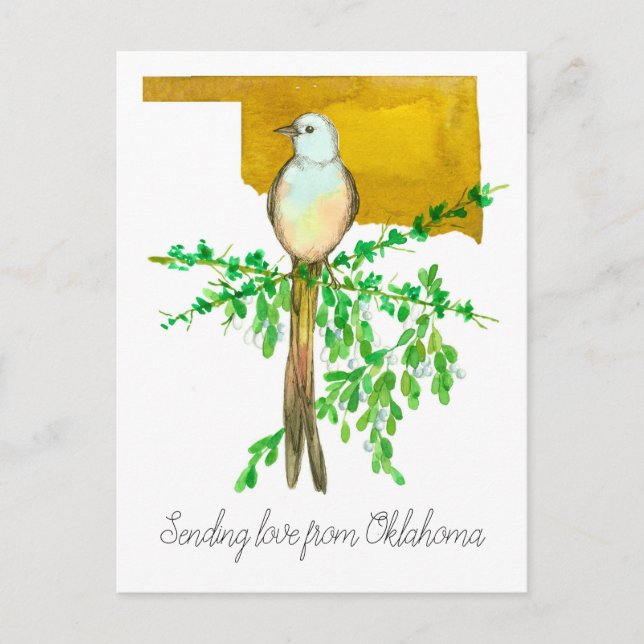 Senden von Liebe aus Oklahoma Scissor Schwanz Flyc Postkarte (Vorderseite)