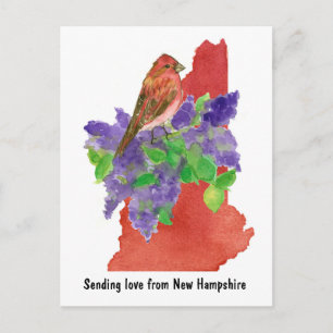 Senden von Liebe New Hampshire Lila Finch Lilac Postkarte