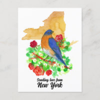 Senden von Liebe New York Bluebird-Rote Rosen