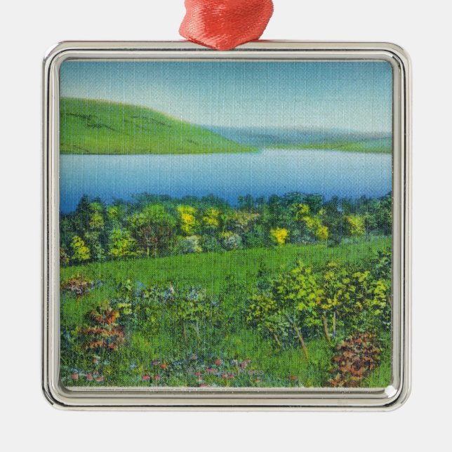 Seneca-Punkt-Ansicht des Sees Silbernes Ornament (Vorne)