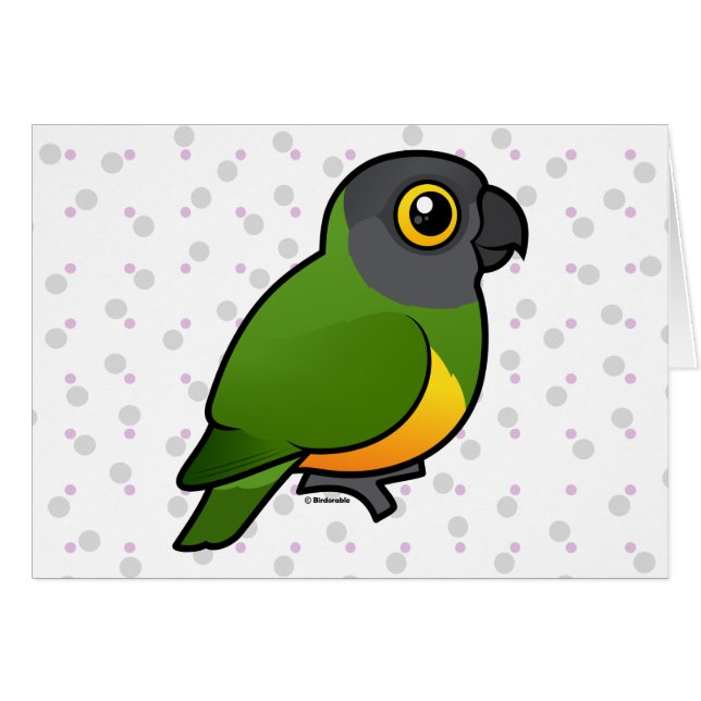 Senegal-Papagei (Vorderseite (Horizontal))