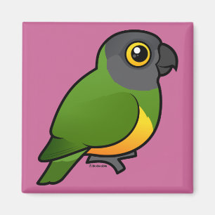 Senegal-Papagei Magnet