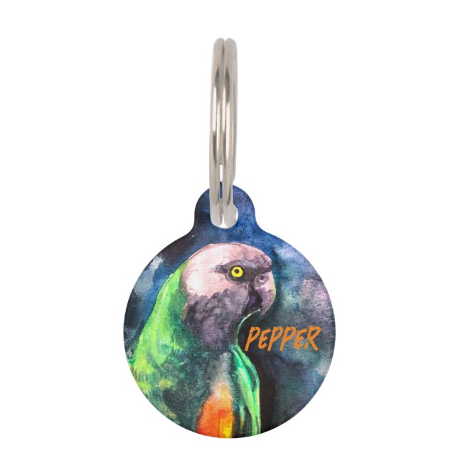 Senegal Papagei Round Pet Tag Haustiermarke (Vorderseite)