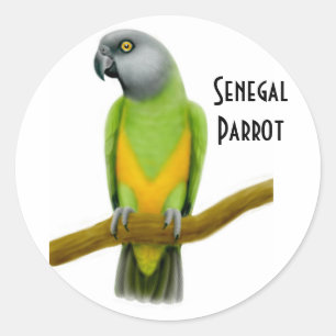 Senegal-Papageien-Aufkleber Runder Aufkleber