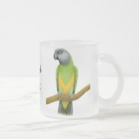 Senegal-Papageien-Tasse