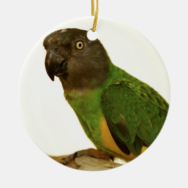 Senegal-Papageien-Verzierung Keramikornament (Vorne)