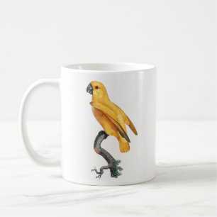 Senegal Parrot Kaffeetasse