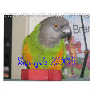 Senegals 2009 Kalender - besonders angefertigt