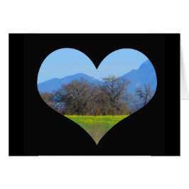 Senf, der im Frühjahr Sonoma County blüht