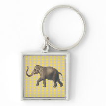 Senf Spice Stimmungen Punkte mit Elefant