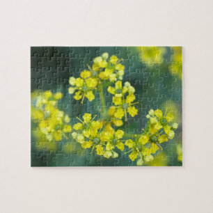 Senfblumen, Puzzle, 20x25 cm, 110 Teile