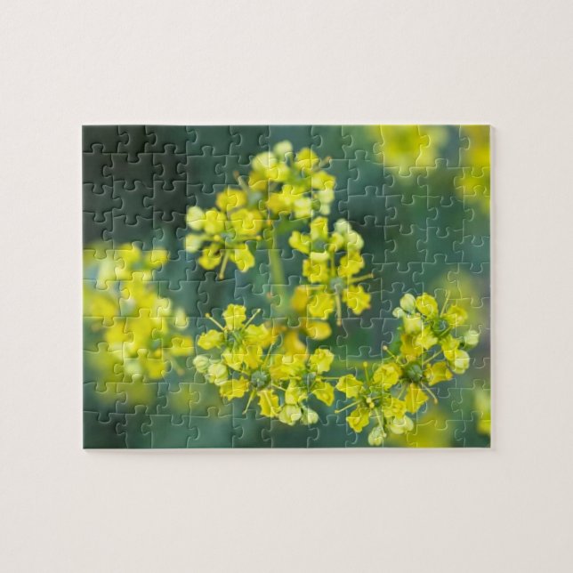 Senfblumen, Puzzle, 20x25 cm, 110 Teile (Horizontal)