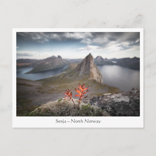 Senja Norwegen Postkarte (Vorderseite)