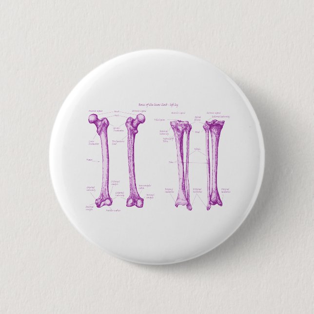 Senken Sie das lila Glied Button (Vorderseite)