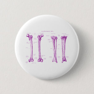 Senken Sie das lila Glied Button