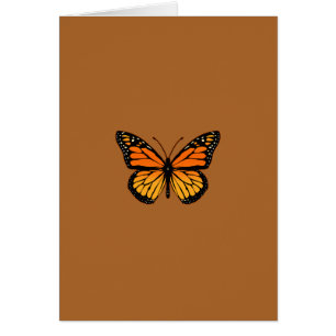 Sensation des papillons monarques