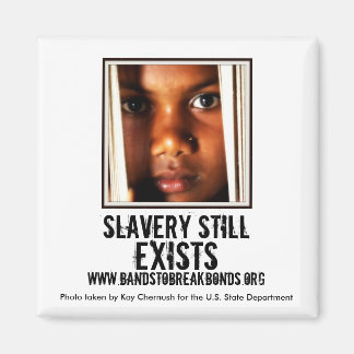 Sensibilisierungsmagnet Magnet