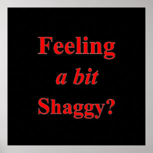 Sentez-vous un peu Shaggy Poster Matte