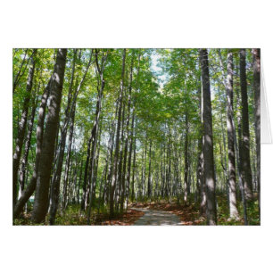 Sentier boisé du centenaire II Ellicott City Maryl