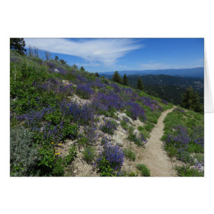 Sentier de randonnée de montagne de l'Idaho