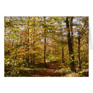 Sentier de Wolf Rocks en automne paysage de Pennsy